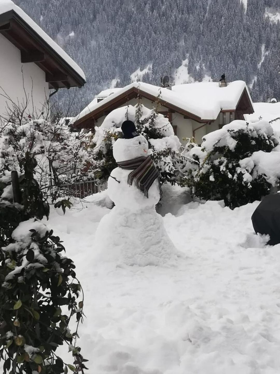 Appartamento Con Giardino Carisolo Kültér fotó