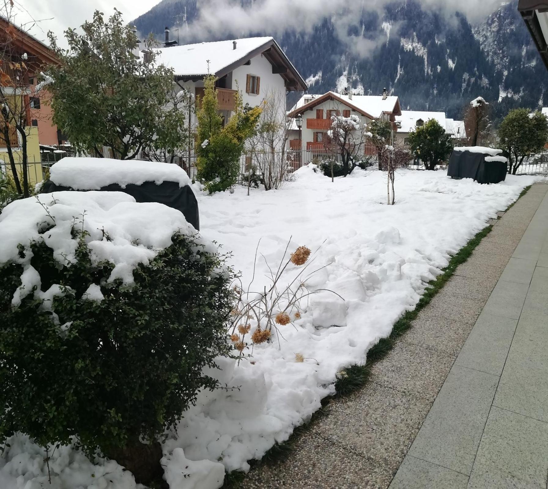 Appartamento Con Giardino Carisolo Kültér fotó