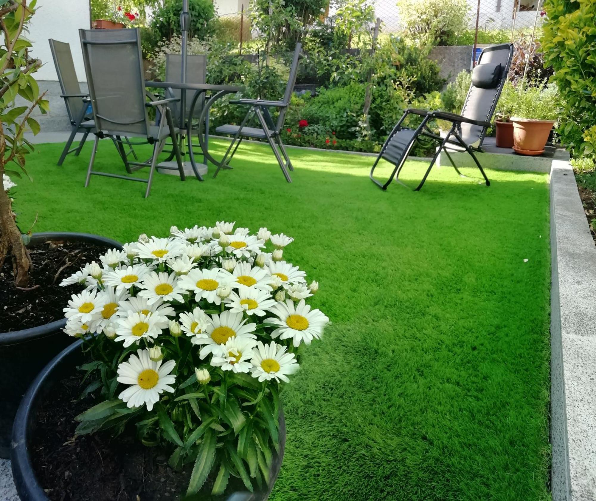 Appartamento Con Giardino Carisolo Kültér fotó
